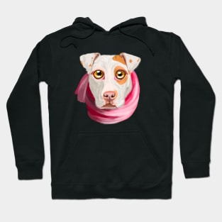 Big-Eyed Cute Pitbull Dog With A Pink Scarf Hoodie